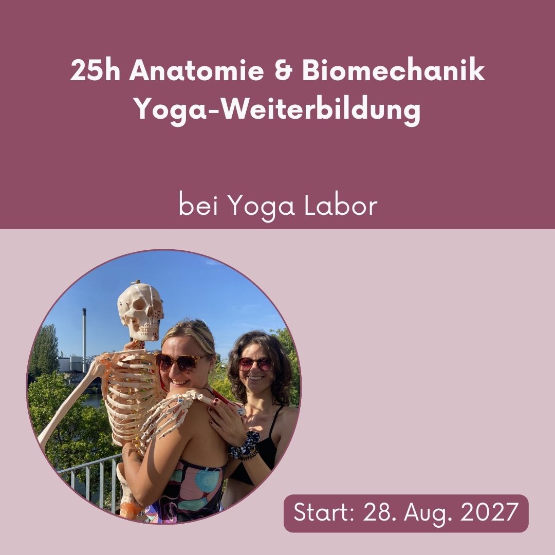 Anatomie & Biomechanik für Yogalehrende – 25h-Yoga-Weiterbildung bei Yoga Labor // 28. bis 30. August 2027