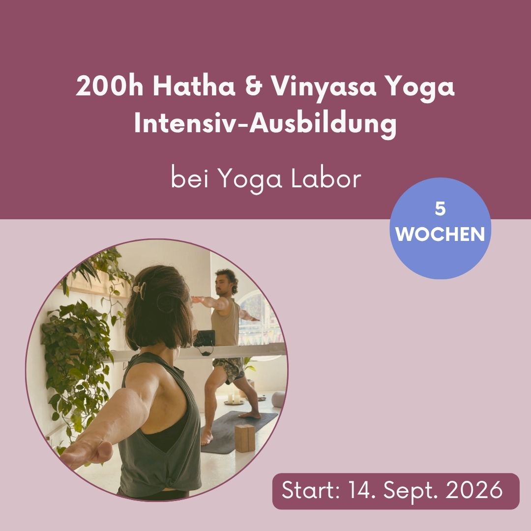 200h Hatha & Vinyasa Yoga 5-Wochen INTENSIV-Ausbildung bei Yoga Labor // 14. September bis 19. Oktober 2026